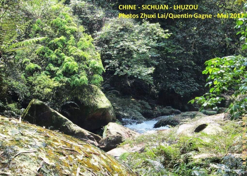 Luzhou 079.JPG